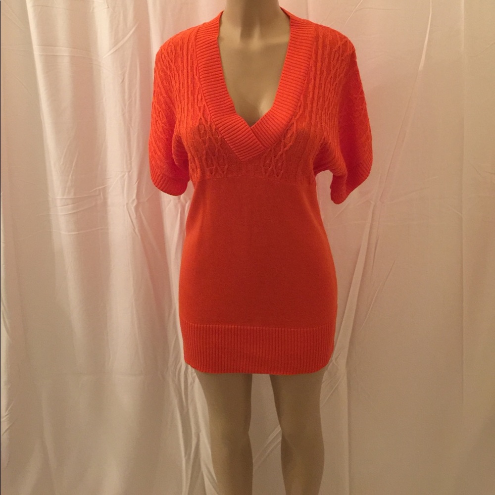 V Neck Sweater Dress/Tunic
